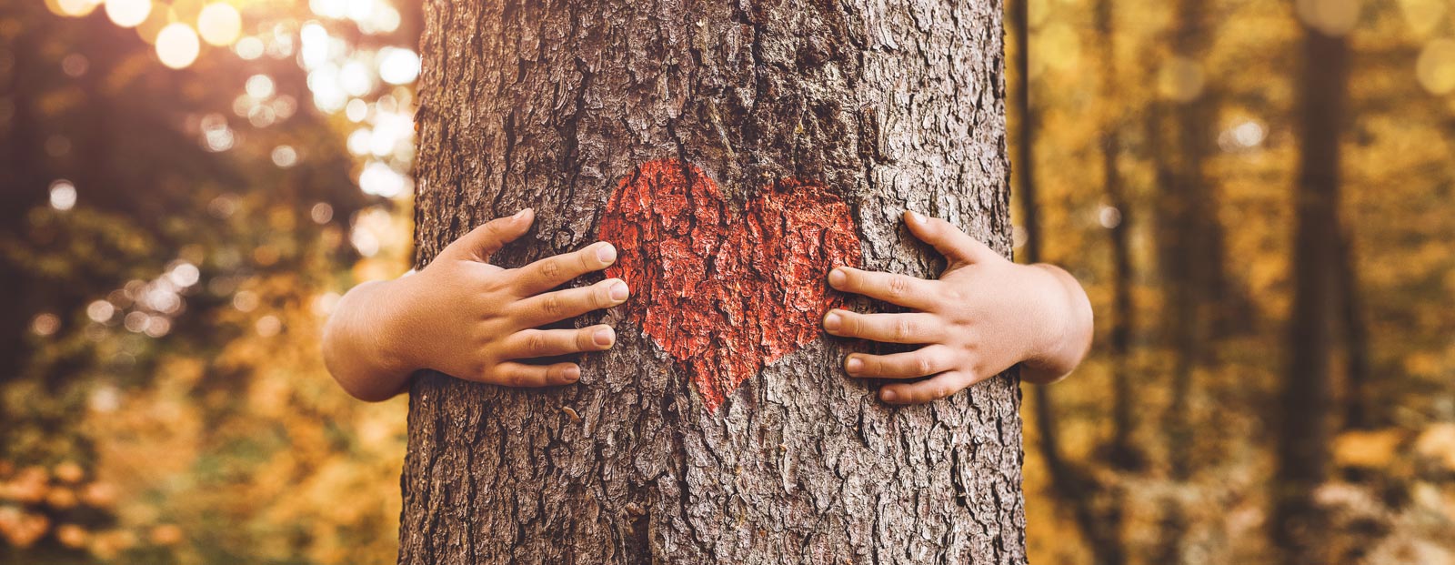 Ihr Heizungskonfigurator